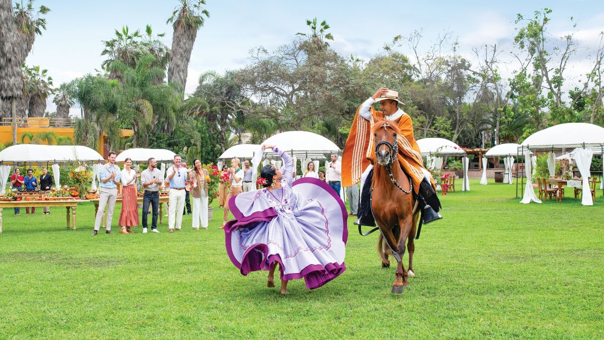 Perú: Show de caballos de paso en Lima.  
