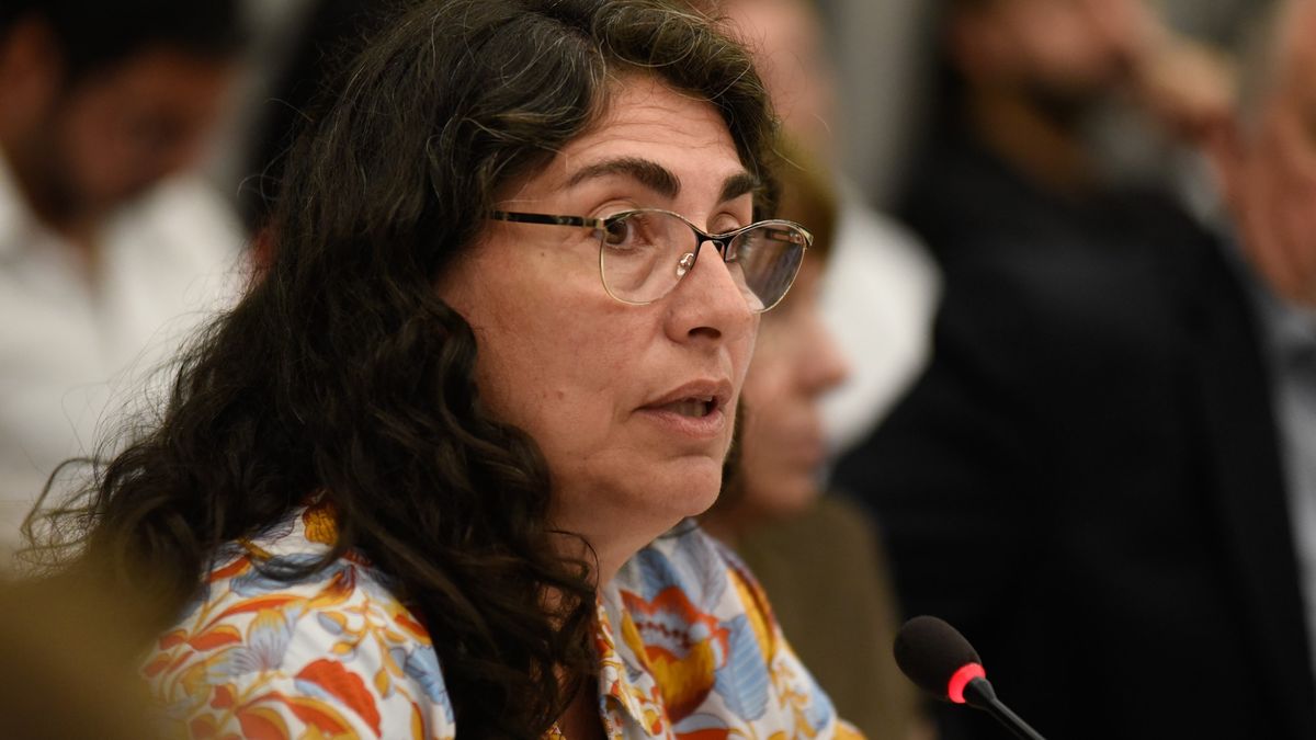 Diputados: dos proyectos de ley buscan endurecer las penas y cambiar el enfoque sobre la seguridad vial. Ana María&nbsp;Ianni presentó iniciativas para actualizar la ley de tránsito y el Código Penal.