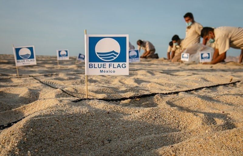 Sectur aseguró que México es referente internacional en sitios Blue Flag, situándose en el primer lugar en el continente &nbsp;americano y en la posición 10 en el mundo.