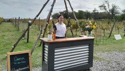 altText(Viñedos, vendimia y bodega a menos de una hora de Buenos Aires)}