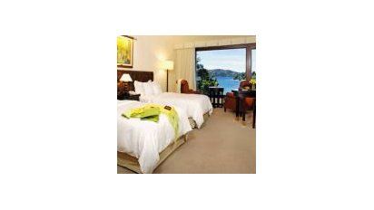 Desarrollo de servicio personalizado