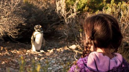 Chubut en verano: 5 actividades para hacer en Puerto Madryn con niños