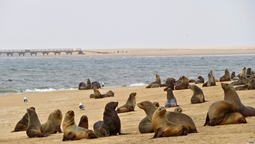 altText(África: 3 actividades además de safaris para hacer en Namibia)}
