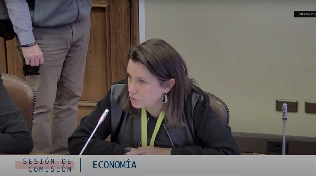 Helen Kouyoumdjian entregó la visión de las aerolíneas respecto al refundido de proyectos. 