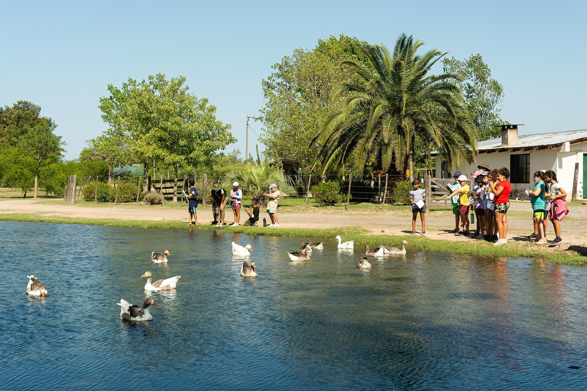 Disfrutá en familia durante un fin de semana lleno de actividades en Rosario conociendo la biodiversidad de la zona.