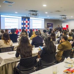 - Ladevi Medios y Soluciones